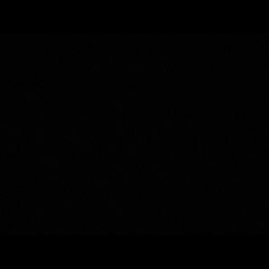 Meet your Posher, Tyrik